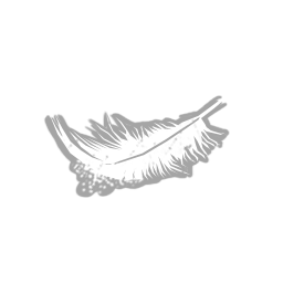 Lightweight icon