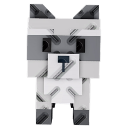 Raccoon