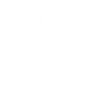 Circle of Life icon