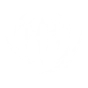 Damisa-Yao icon