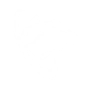 Dimensional Shortcut icon