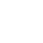 Duality Dance icon