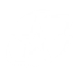 Expert Instinct icon
