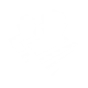 First Family icon