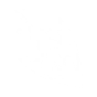 Flawless Design icon