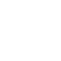 Gamma Fastball icon