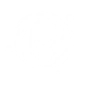 Metallic Chaos icon