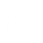 Oblivion Shroud icon