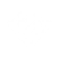 SP//dr Sync icon