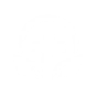 Star Blossom icon