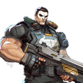 The Punisher icon