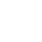 Vitality Pact icon