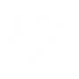 Wild Wall icon
