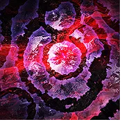 Breach icon