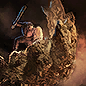 Shield Wall Titan icon