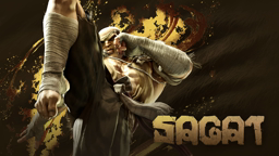Sagat icon