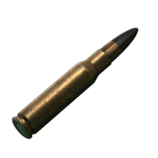7.62x51 M993